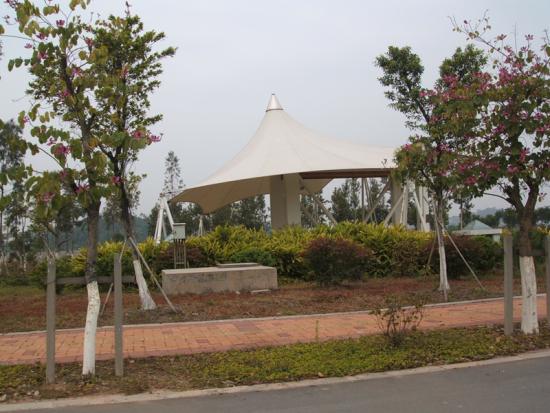 Canopy Tensile Structure Design